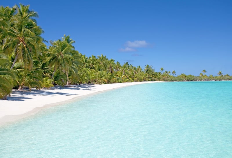 Island Paradise
