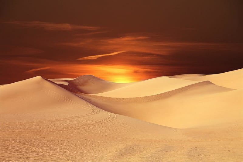 Desert Wonder